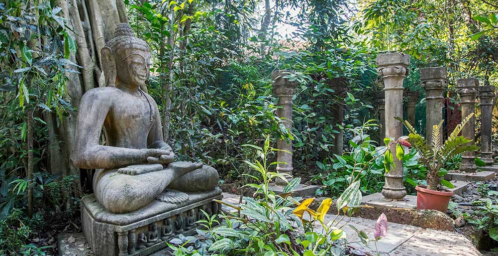 Ishanya- Luscious garden